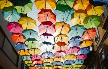 Photo by Ricardo Resende on Unsplash